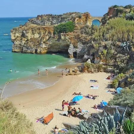 Apartamento Magnoliamar 304