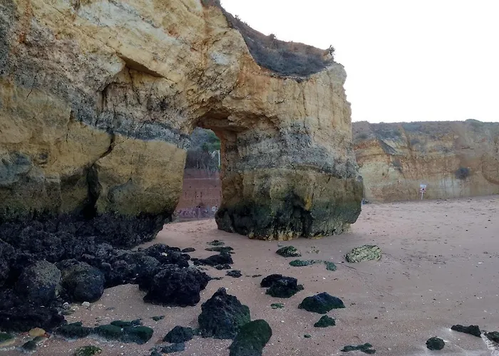 Magnoliamar 304 Lagos